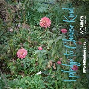 Meet your Posher, Leigh